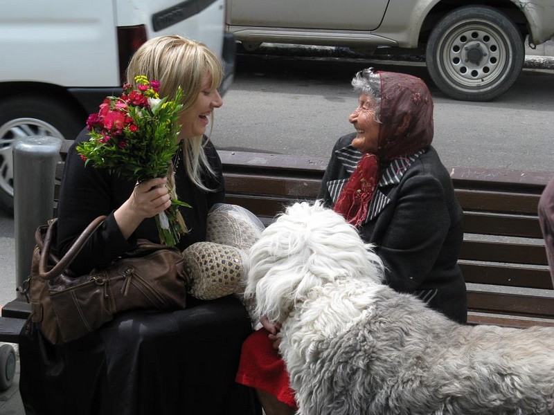 צילום: גדעון ניקריטין