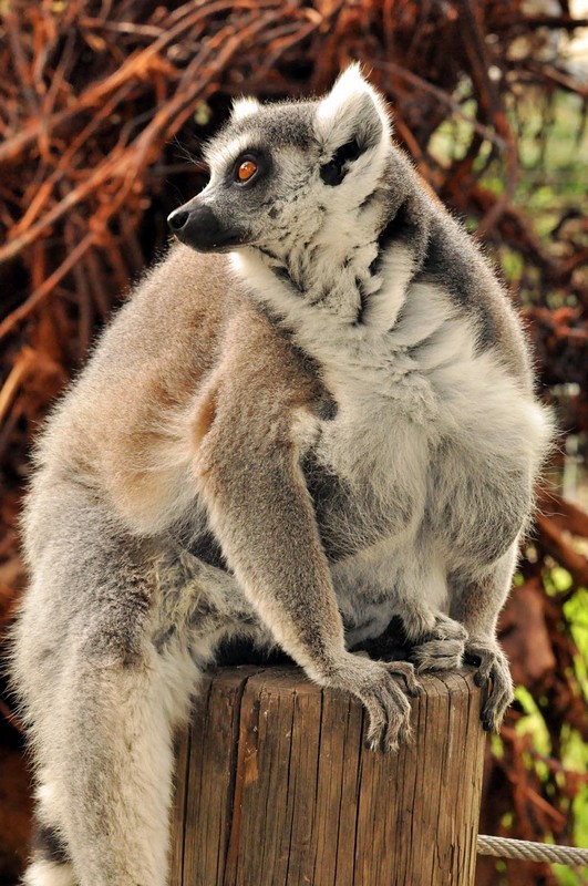 לחבק בחורף...