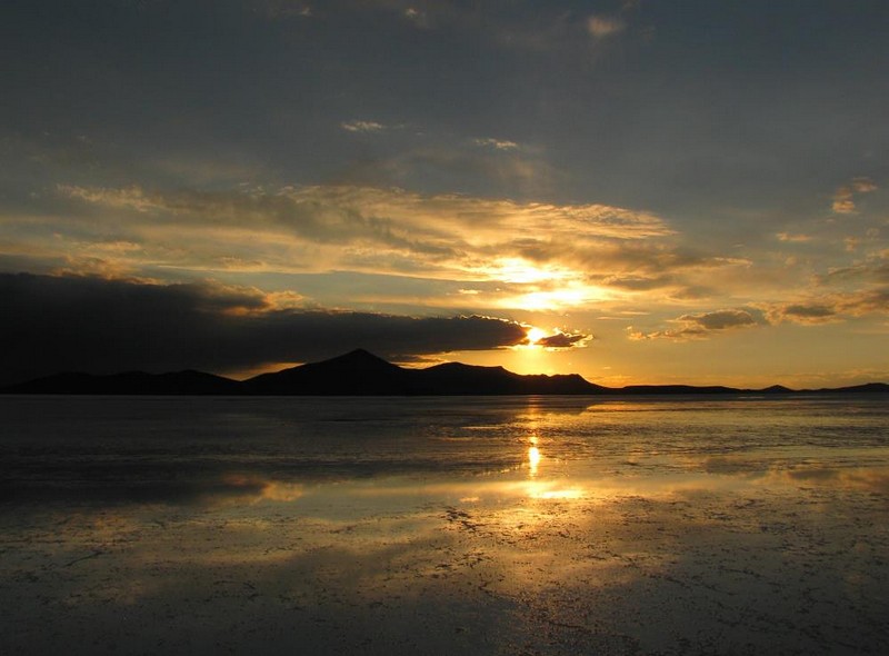 צילום: אלעד מזרחי