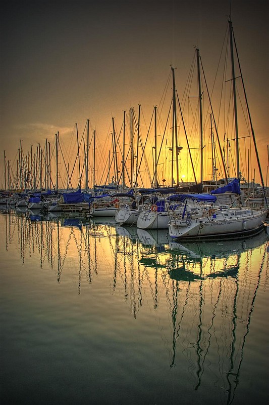 הפלגה לילית