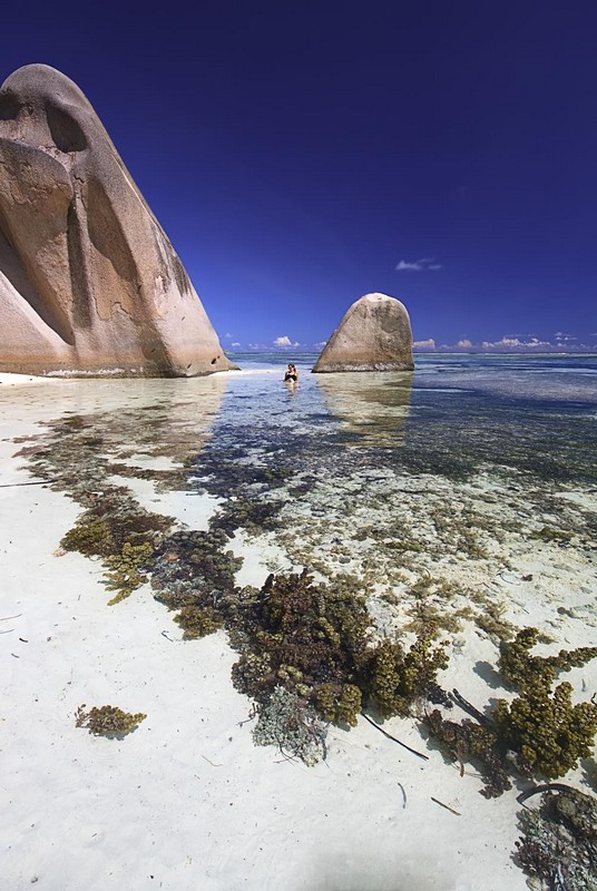 בריכה פרטית