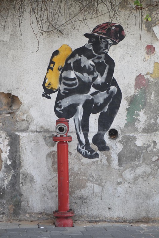 צילום: רועי מילמן