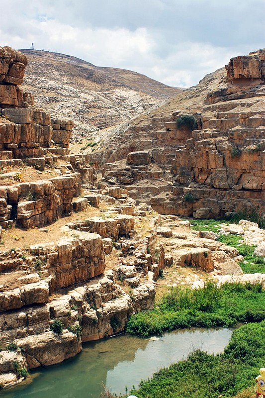 במדבר יהודה