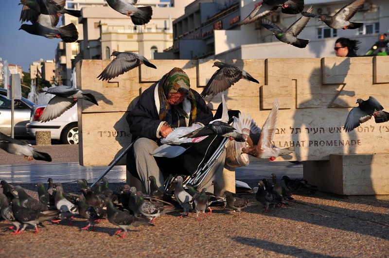 צילום: אריה טרכטנברג