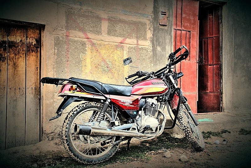 צילום: ליאור בן גיגי