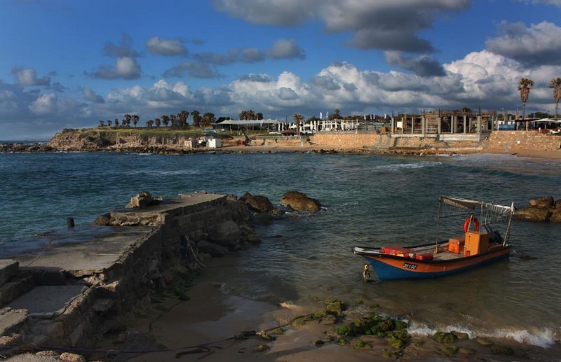 צילום: דפנה רחמני