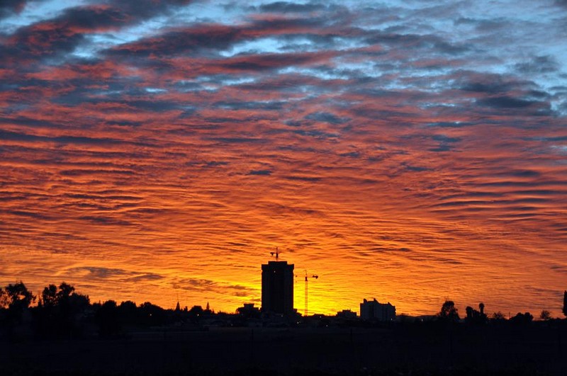 צילום: אריה טרכטנברג