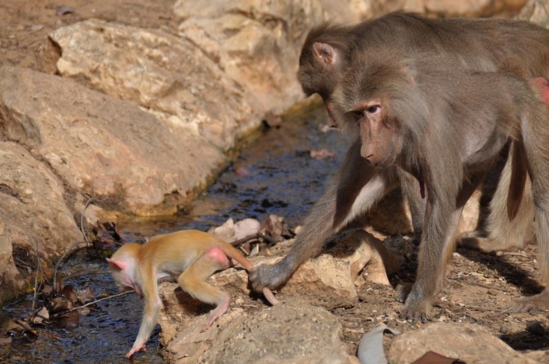 צילום: מתן  שגב