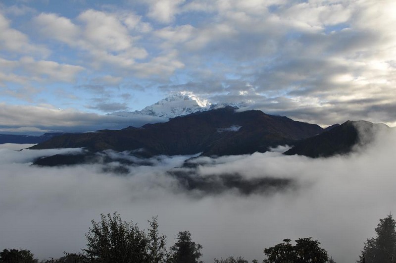 ערפילי בוקר