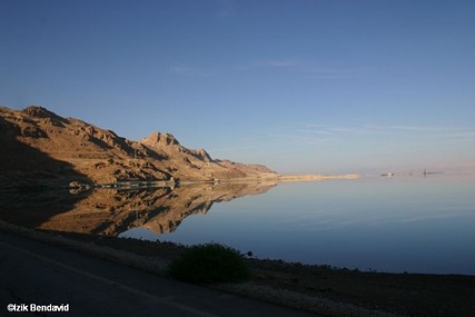 צילום: izhak Bendavid