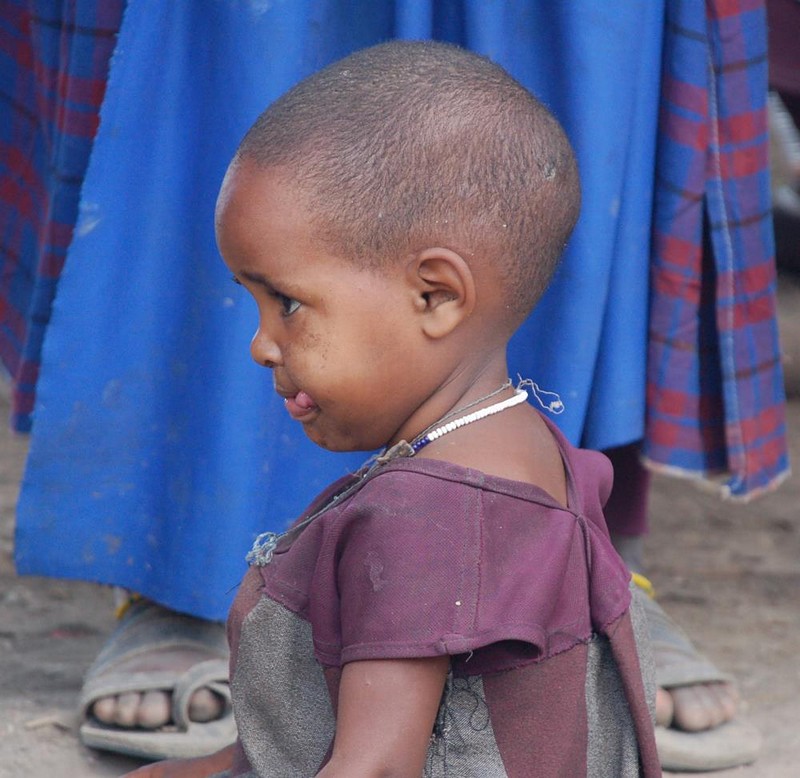 צילום: הדר דקל