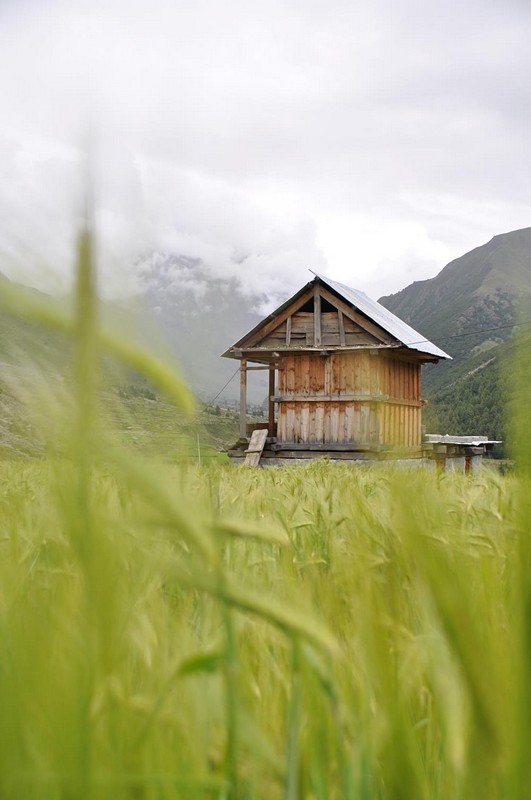 בית קטן בשדה