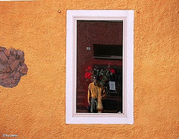 אני | חלון  השתקפות ורדים צהוב