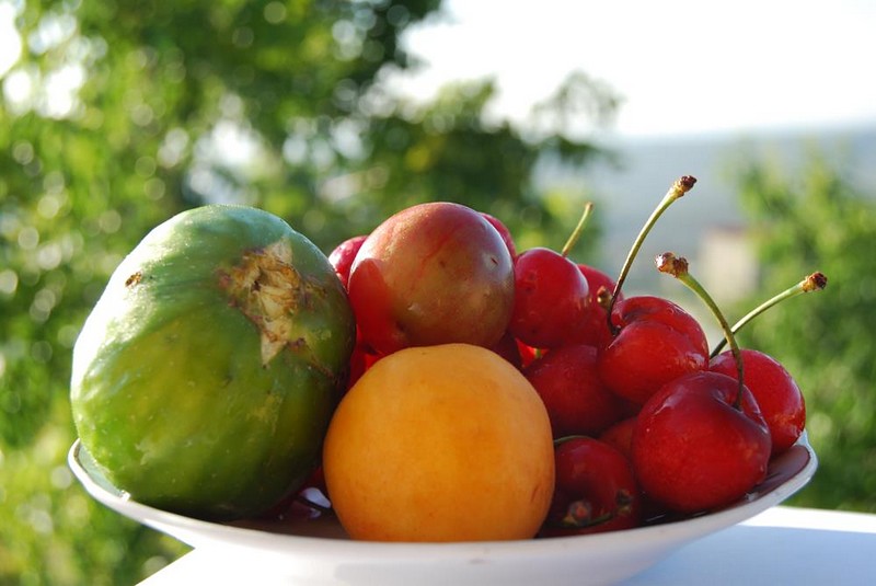 טבע הפירות 