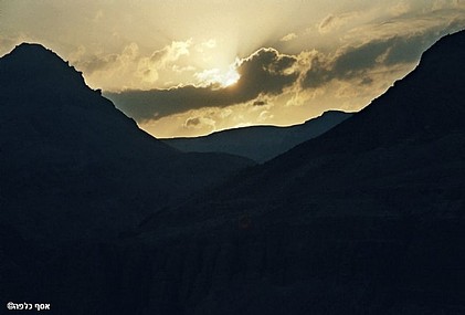 צילום: אסף כלפה