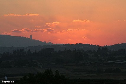 צילום: צחי עמיעד