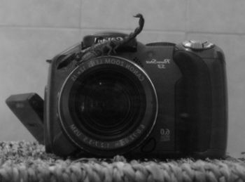 אורי וולנסקי