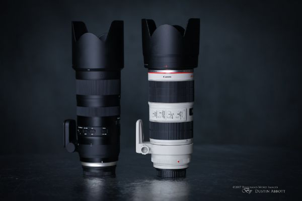 מאור רוזרוזנברגזנברג